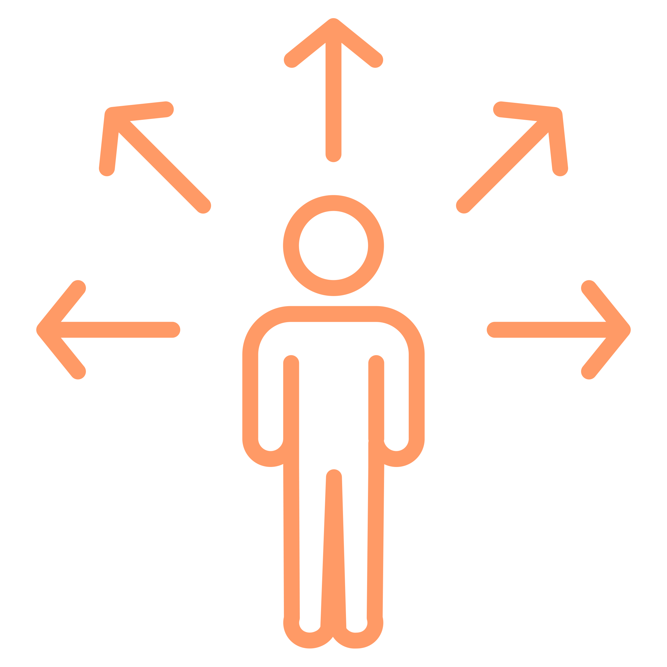 Icon (Fractional Team)